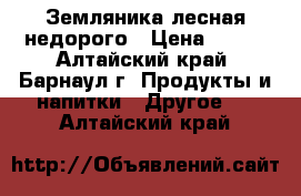 Земляника лесная недорого › Цена ­ 400 - Алтайский край, Барнаул г. Продукты и напитки » Другое   . Алтайский край